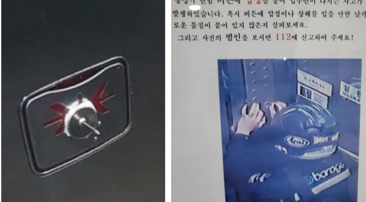 성공사례 이미지